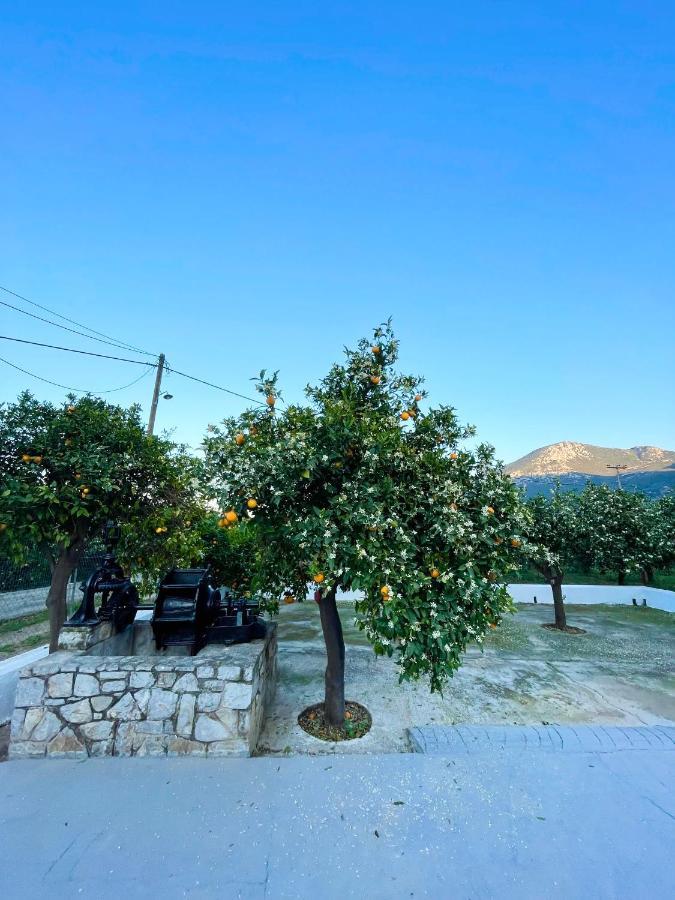 Citrus Garden Vila Epidaurus Exterior foto
