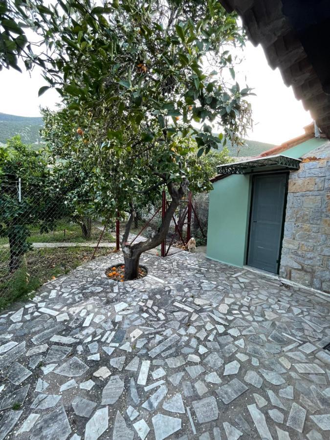 Citrus Garden Vila Epidaurus Exterior foto
